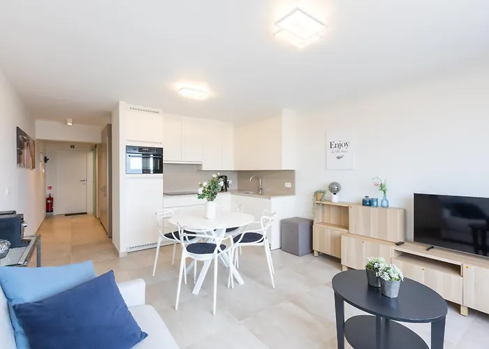 公寓 Lecomte - Beachfront Seaview 196 奥斯滕德