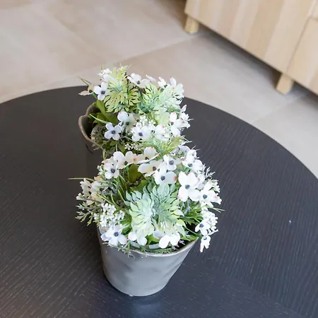 Lecomte - Beachfront Seaview 196